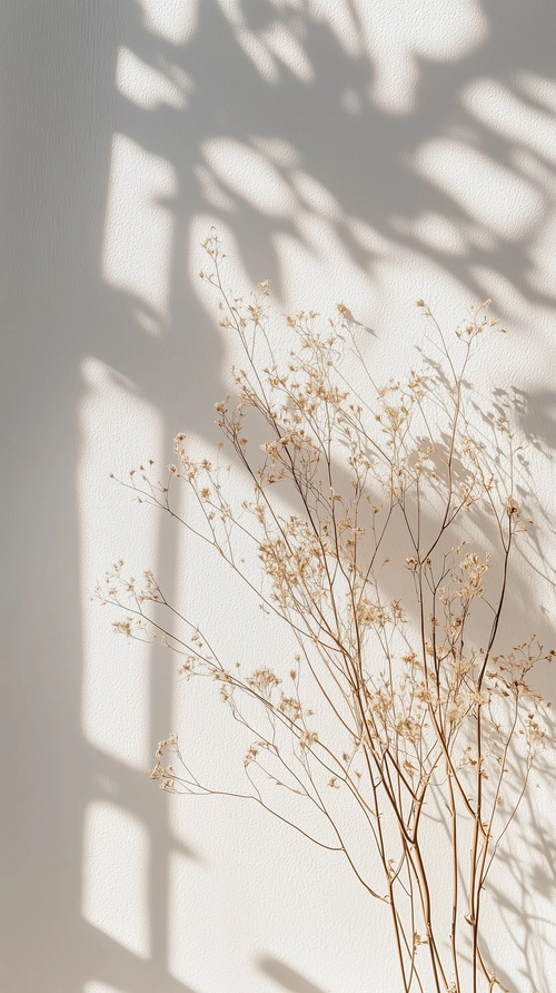 Minimalist photo, dried flowers, sunny